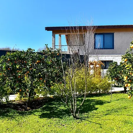 Volans Suites Villas-3